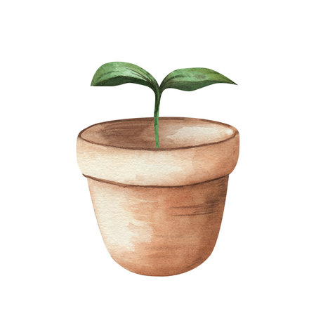 Young, green sprout of seedling in a clay pot on a white background. Watercolor illustration of a plant, hand drawn. Microgreens for wrapping paper, labels, cards.の写真素材