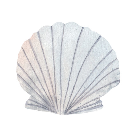 Watercolor illustration of a seashell on a white background. Hand drawn marine element for...