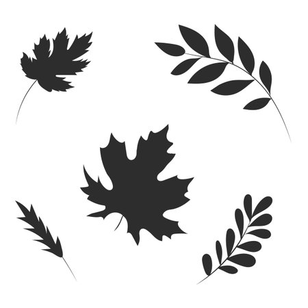 Vector illustration of black autumn leaves and branches on a white background. Shadow, outline. Hand-drawn. Monochromeのイラスト素材