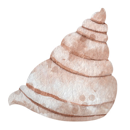 Watercolor illustration of beige seashell. Hand drawn marine element isolated on white background. Perfect for nautical design, summer decor, and beach-themed printsの写真素材