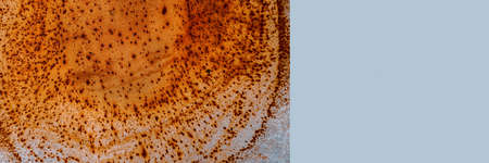 Rusty orange spots on the gray surface. Top view. Place for your text. Bannerの写真素材