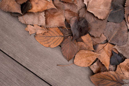 Lots of orange autumn leaves on the wooden. Top view