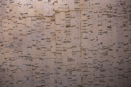 Texture light brown cork tree bark. Close up background. Cork board wood surfaceの写真素材