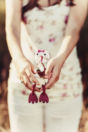 Bird carrying a cute baby. Child delivery by a white stork. Pregnant woman holding a toy.の写真素材