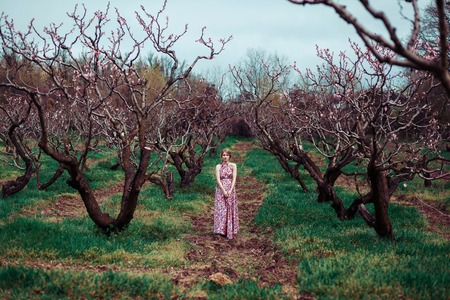 Portrait of a young blond woman in a pink dress on a background of flowering treesの写真素材