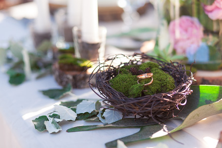 Rings of the bride and groom in the nestの写真素材
