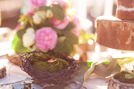Rings of the bride and groom in the nestの写真素材