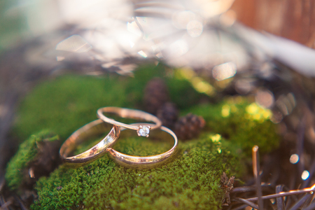 Three golden wedding rings on the moss background.の写真素材