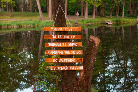 six boards with words hanging on treeの写真素材