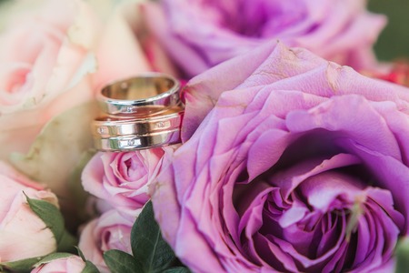 wedding golden rings on flowers close-up shot