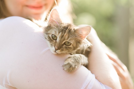 Woman holding cute cat on shoulder, in bright sun beams. close up view of head