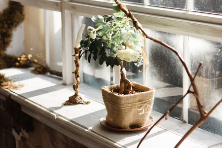 Bonsai tree in handmade sackcloth pot and candlestick on the window sill. Rustic diy decorの写真素材