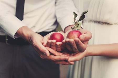 the couple holding two red apples in hands. Close focus. Love story ideaの写真素材
