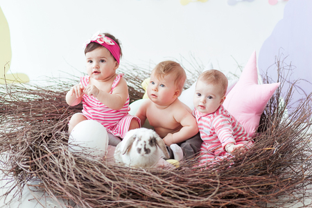 Three cute little babies and rabbit with Easter eggs sitting in huge nest.の写真素材