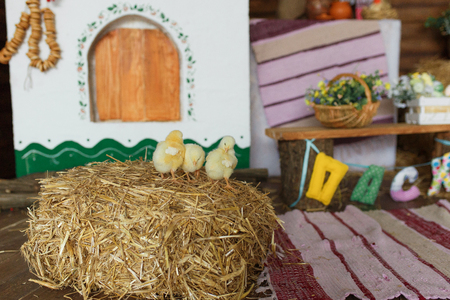 Ukrainian house interior decorated for easter holiday. Little yellow chicks on hayの写真素材