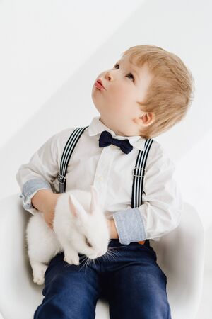 Adorable Little Boy Posing with Rabbit Portraitの写真素材