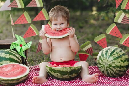 Little boy eating watermelon red in the garden sitting on the grass. Happy smiling faceの写真素材