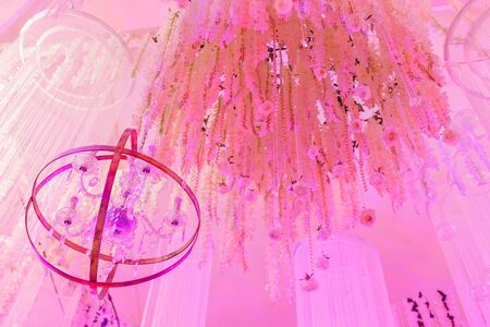 Magnificent chandeliers hang from the white ceiling pink colors. Wedding decoration of restaurantの写真素材