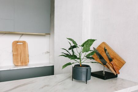 modern white marble kitchen in new moved studio flat. Decorative green plant and knife rackの写真素材