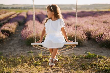 Little Girl on Swing Lavender Field Backgroundの写真素材