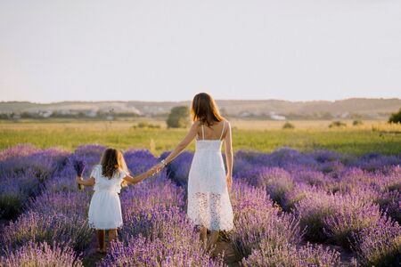 Young Mother and Little Daughter on Lavender Fieldの写真素材