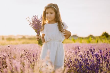 Caucasian Little Girl with Bouquet of Lavenderの写真素材