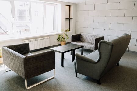 Coaches And Table Modern Design Room Elements with Foam Brick Wall on Background Copy Space. Elegant Fabric Sofa and Green Plant on Gray Carpet Covering Floor. Office Stylish Interior Day Lightの写真素材
