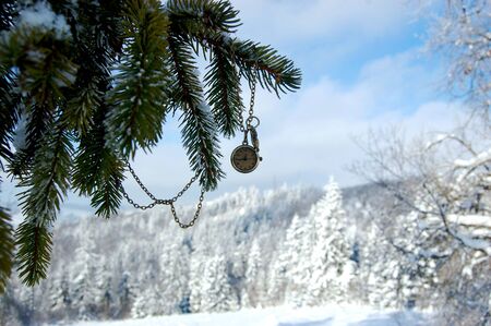 winter forest, watch on a chain