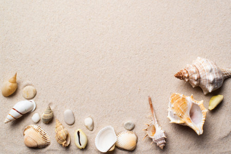 seashells are lying on the sand. a place for textの写真素材