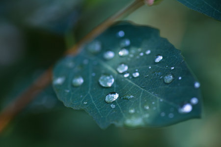 Beautiful green background for web design. Wallpaper. Screen. Nature.