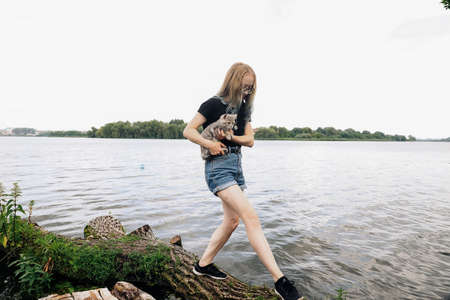 A young woman walks with a three month old Scottish Reed kitten near the lake in summer. The photo was taken in the general plan in sunny weather with natural lightの写真素材