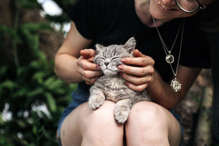 A young woman is holding a Scottish Straight kitten outdoors. The cat enjoys and purrs with his eyes closed and looks funny. Close-up, natural daylightの写真素材