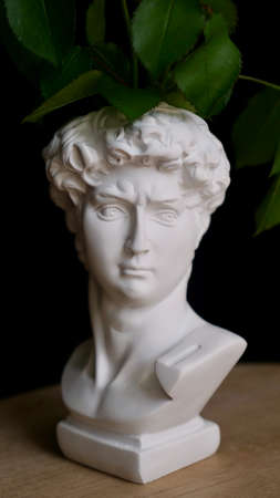 Stylish modern statue bust of David sculpture for flowers on black isolated background close upの写真素材