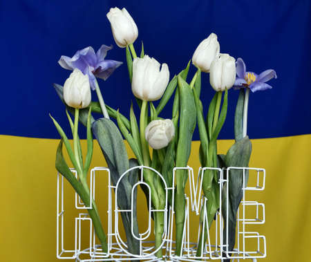Home is Ukraine. The background is yellow blue National Ukrainian flag at home with flowers tulips. War in Ukraine. Russia attacked Ukraine 24.02.2022の写真素材