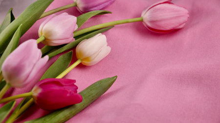 Romantic Pink tulip flowers on March 8 international womens day, mothers day with copy space for paste text. Close upの写真素材