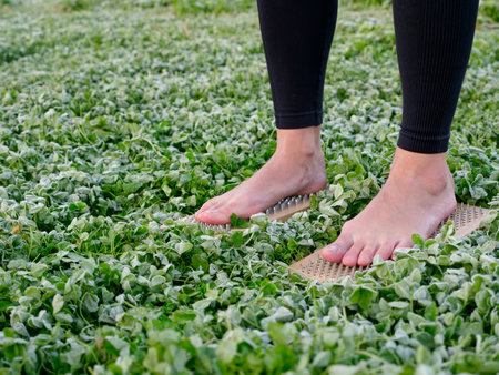 A barefoot woman stands on nails sadha board among the grass. Spiritual practice meditation in nature. Close-upの写真素材