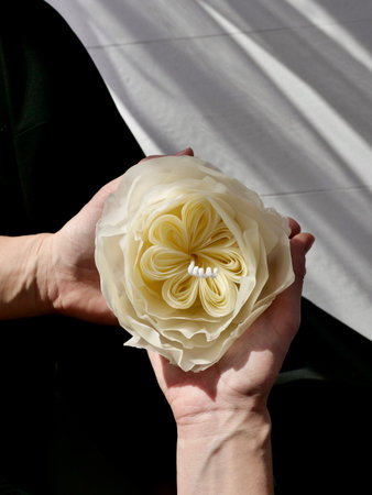 A close-up of a delicate, handmade candle shaped like a multi-layered rose or peony, held gently in a persons hand against a soft, light, minimalist backgroundの写真素材