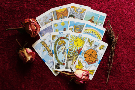 Tarot cards, dried rose buds and sprig of wormwood on bordeaux velvet background