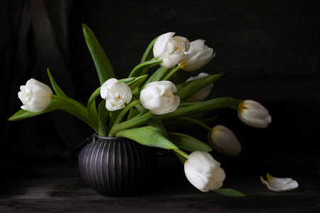 Bouquet of the nine white tulips in a dark cast-iron vase on a black backgroundの写真素材