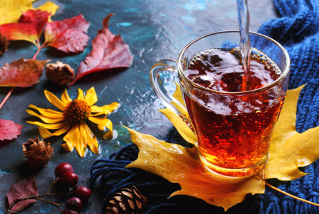 pouring hot black tea in a cup, shot in autumn decorations on the wet backgroundの写真素材