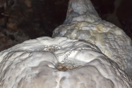 education in a cave stalagmite due to drippingの写真素材