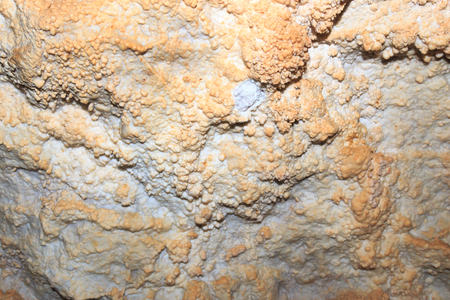 Corallites in a cave. Crimea, mountain Chatyr-Dag, a marble caveの写真素材