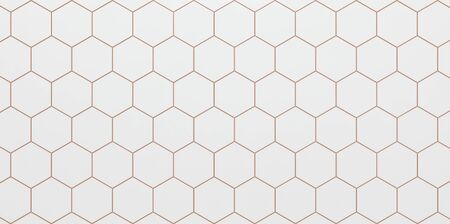 Light background of white hexagonal cells  - 3D illustration
