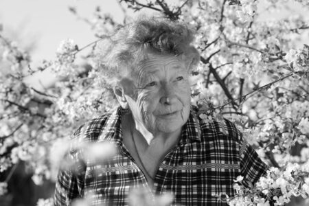 Positive emotions of a beautiful old woman while visiting the garden against a background of blooming cherryの写真素材