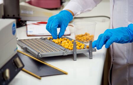 Hazelnut quality control by size on a special board with cells for the production of sweets. Hands...