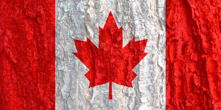 Canada flag on bark texture background. Background for greeting cards for public holidays in Canada. Day of Remembrance and Reconciliation. Labor day Victoria Day World Refugee Day.の写真素材