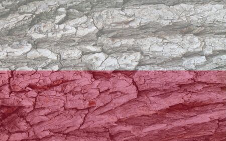Poland flag on bark texture background. Background for postcards for public holidays of Poland. Rest of the workers and the working class. National holiday of the Constitution.の写真素材