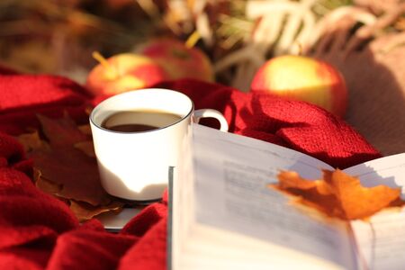 Picnic in the autumn forest. Cup with tea, apples, an open book and autumn leaves on a red scarf.の写真素材