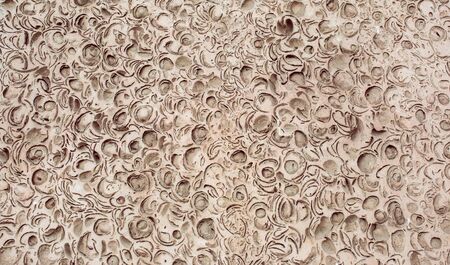 Texture based on decorative stone made of cement with river shells. Vintage wallpaper.