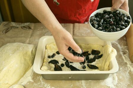 Mom's pies. The dough is laid out in a mold. Mom will lay out the second layer of the filling of frozen blackcurrant with her hands. Cooking during quarantine.の写真素材